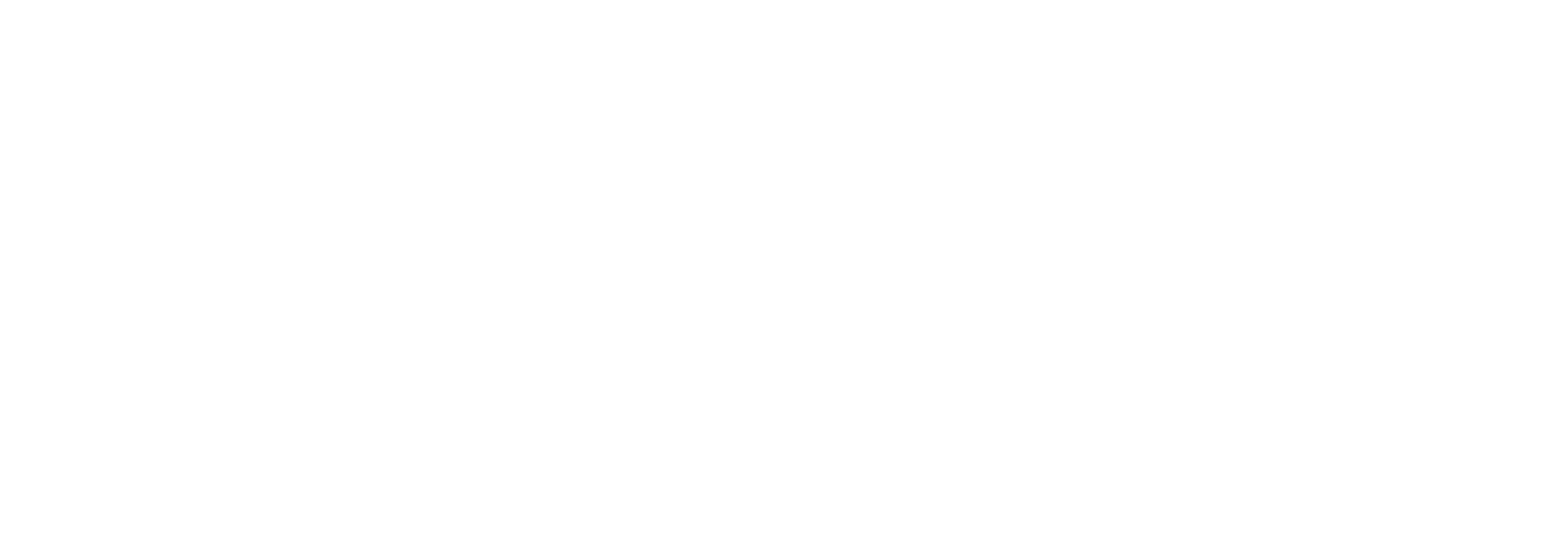 eidico-blanco-logo